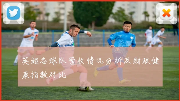英超各球队营收情况分析及财政健康指数对比